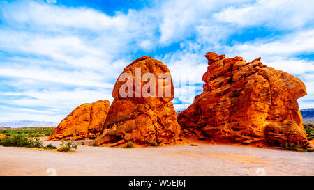 Le lever du soleil sur le rocher de grès rouge vif Aztec formation du groupe rock sept Sœurs dans le parc national de la Vallée de Feu au Nevada, USA Banque D'Images