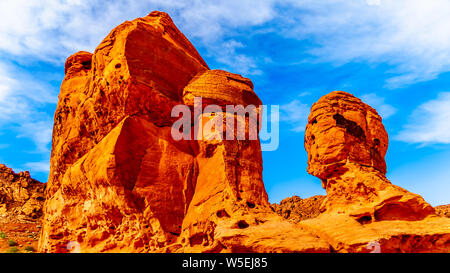 Le lever du soleil sur le rocher de grès rouge vif Aztec formation du groupe rock sept Sœurs dans le parc national de la Vallée de Feu au Nevada, USA Banque D'Images