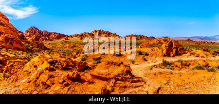 Le rocher de grès rouge vif Aztec formations dans le parc national de la Vallée de Feu au Nevada, USA Banque D'Images