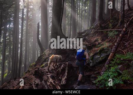 Fille aventureuse randonnée avec un chien sur un sentier dans les bois pendant une journée ensoleillée et brumeux. Prises dans le Parc provincial Cypress, Vancouver, Colombie-Britannique Banque D'Images