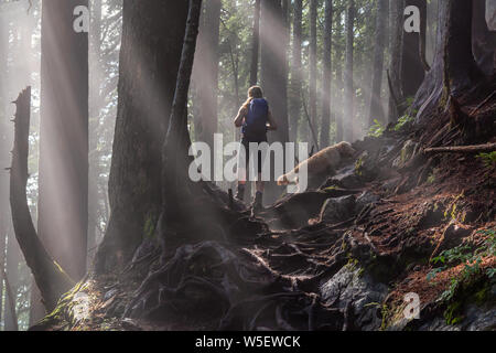 Fille aventureuse randonnée avec un chien sur un sentier dans les bois pendant une journée ensoleillée et brumeux. Prises dans le Parc provincial Cypress, Vancouver, Colombie-Britannique Banque D'Images