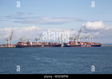 Tsawwasen, Greater Vancouver, BC, Canada - le 14 juillet 2019 : gros porte-conteneurs sont chargés au port pendant une journée ensoleillée. Banque D'Images