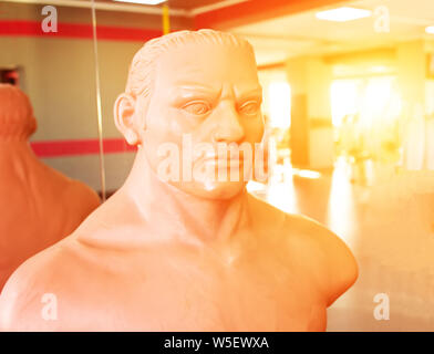 Mannequin pour la boxe et pratiquer les poinçons en arts martiaux dans le gymnase à la lumière d'un coucher du soleil Banque D'Images