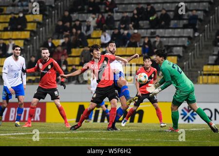 Un joueur de football italien Graziano Pelle, centre, de Chine Shandong Luneng la chanson Ju-Hun défis FC de Gyeongnam FC de la Corée du Sud dans le groupe E matc Banque D'Images