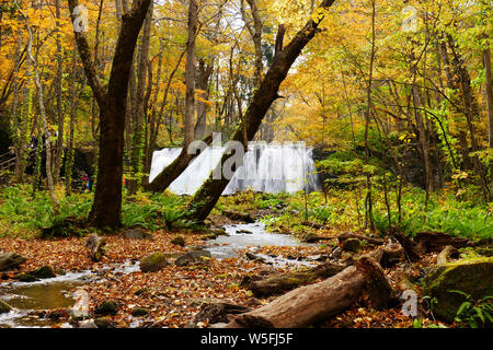 Belle vue de Choshi cascade entourant avec autumn forest à Oirase sentier de randonnée dans le Parc National Towada Kamaishi, Aomori, Japon Banque D'Images