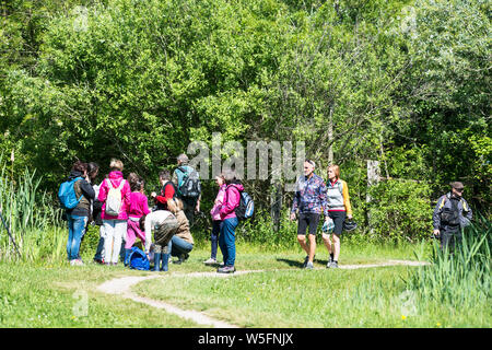 L'Italie, Friuli Isonzo, parc régional de l'estuaire, Isola della Cona Bird Sanctuary, les visiteurs de la zone humide Banque D'Images