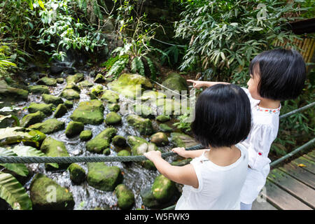 Peu d'asiatiques Sœurs chinois debout sur un pont en bois dans un jardin Banque D'Images