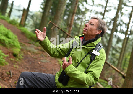 28 mai 2019, Bade-Wurtemberg, Seebach : Meinrad Heinrich, ranger des bénévoles dans le Parc National de la Forêt Noire, à la tête d'un groupe de randonnée à travers la Forêt Noire près de Ruhestein. Photo : Uli Deck/dpa Banque D'Images