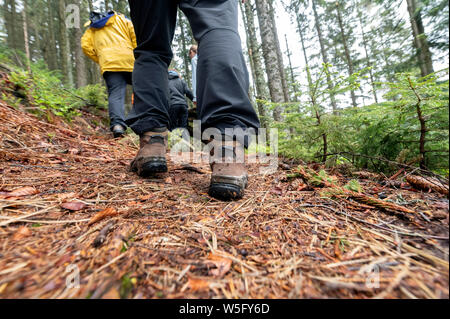 28 mai 2019, Bade-Wurtemberg, Seebach : un groupe de randonnée est guidée par un ranger dans le Parc National de la Forêt-Noire à travers la Forêt Noire par le Ruhestein. Photo : Uli Deck/dpa Banque D'Images