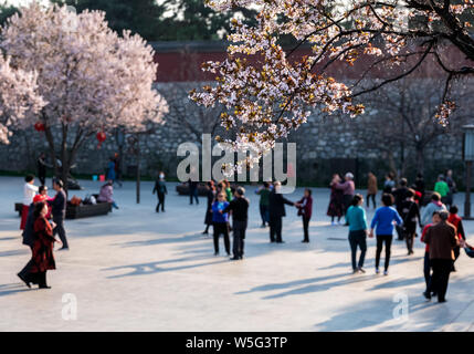 Le Giant Wild Goose Pagoda est entouré de Prunus cerasus dans fleur pleine de Xi'an, ville du nord-ouest de la Chine, dans la province de Shaanxi, du 20 mars 2019. Banque D'Images