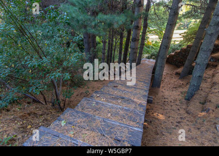 Déhousseur & écrouteuse planche en bois chemin menant vers la forêt en automne Banque D'Images