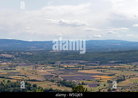 Monts de Vaucluse : Arrière-plan avec vue aérienne sur les champs de lavande qui entourent les villages perchés du Pays de Sault, Aurel et Ferrassieres Banque D'Images