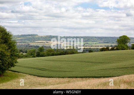 Aylesbury Vale paysage - vue sur Aylesbury Vale de Bledlow partout à Princes Risborough, Buckinghamshire England UK campagne Banque D'Images