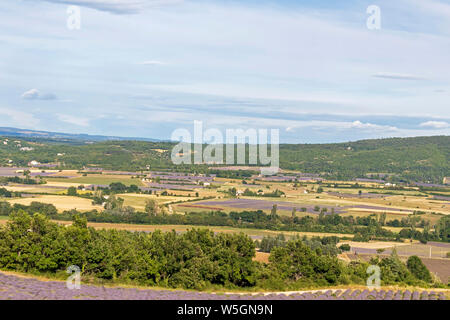 Monts de Vaucluse : Arrière-plan avec vue aérienne sur les champs de lavande qui entourent les villages perchés du Pays de Sault, Aurel et Ferrassieres Banque D'Images