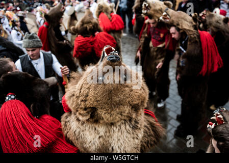 Nouvelle Année du Festival de Danse de l'Ours, Suceava, Moldova, Roumanie, Europe Banque D'Images