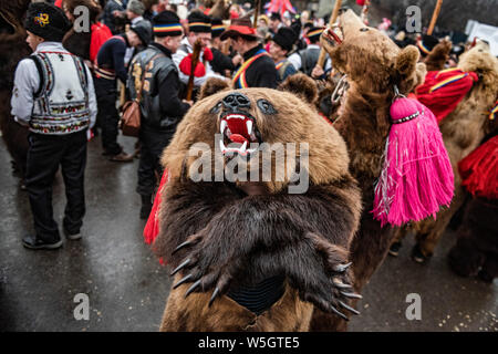 Nouvelle Année du Festival de Danse de l'Ours, Suceava, Moldova, Roumanie, Europe Banque D'Images