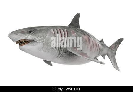Requin géant isolé Banque D'Images
