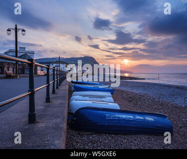 Lever du soleil à la recherche sur la plage à la pittoresque ville côtière de Sidmouth, Devon, Angleterre, Royaume-Uni, Europe Banque D'Images