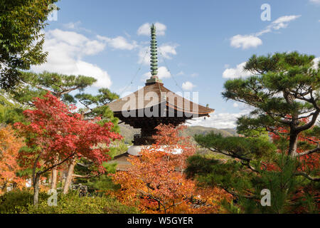 Automne couleur dans Jojakko-ji dans de Arashiyama, Kyoto, Japon, Asie Banque D'Images