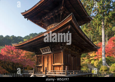 Automne couleur dans Jojakko-ji dans de Arashiyama, Kyoto, Japon, Asie Banque D'Images