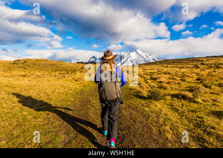 Profiter de la beauté des paysages du parc national Torres del Paine, Patagonie, Chili, Amérique du Sud Banque D'Images