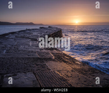 Le mur du port connu sous le nom de Cobb bénéficie d'une grande popularité et est particulièrement bon dans la lumière de l'aube, Lyme Regis, Dorset, England, UK Banque D'Images