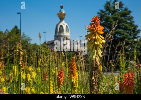 Tour Lu à Nantes sur une journée ensoleillée avec de la végétation verte et orange Fleurs Lilly flambeau commun Banque D'Images