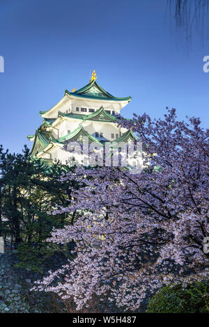 Fleur de cerisier au Château de Nagoya, Nagoya, Aichi Prefecture, Honshu, Japan, Asia Banque D'Images