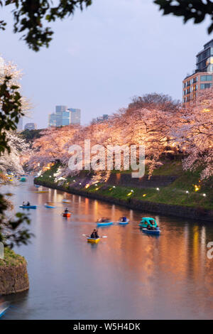 Printemps fleur de cerisier, Chidorigafuchi, Chiyoda ku, Tokyo, Japon, Asie Banque D'Images