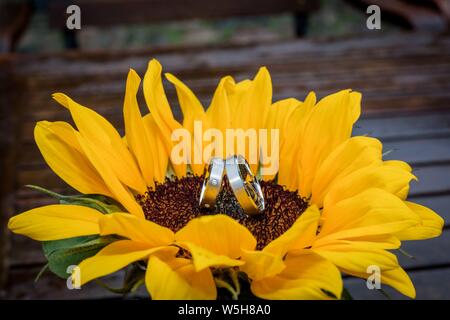 Photo symbolique sur le sujet du mariage et de mariage. Les anneaux de mariage sont un symbole de loyauté à l'appui de personnes, à savoir les conjoints. Dans le monde d'utilisation | Banque D'Images
