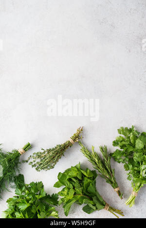 Diverses herbes fraîches sur fond gris - romarin, persil, aneth, Thym, Menthe et coriandre. Copier l'espace. Banque D'Images