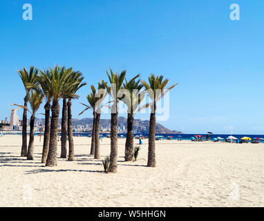 Belle plage de Poniente à Benidorm, Espagne Banque D'Images