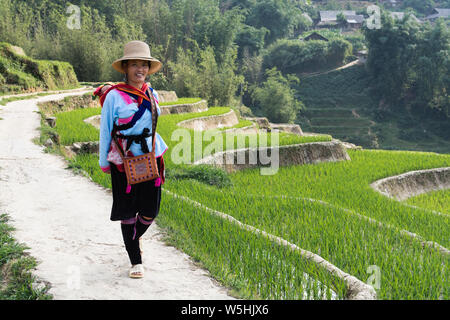 Sapa, Vietnam - Mai 2019 : femme de l'ethnie hmong en costume traditionnel marche à côté de la terrasse de riz dans la province de Lao Cai Banque D'Images