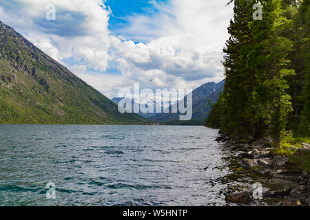 Multinsky les lacs de montagnes de l'Altaï. Paysage pittoresque avec des nuages blancs et d'énormes sapins sur la rive. Le temps de déplacement d'été. Banque D'Images