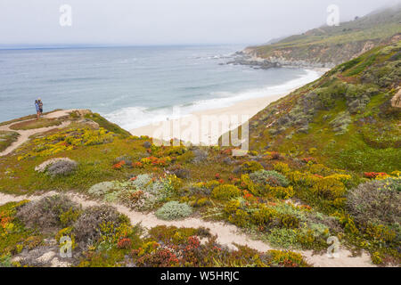 Vu d'une vue à vol d'oiseau, de beaux bluffs donnent sur l'océan Pacifique contre un lavage plage pittoresque au sud de Monterey en Californie du Nord. Banque D'Images