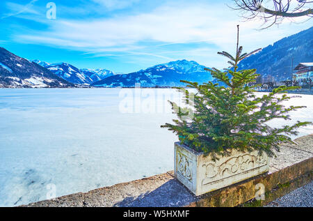 La surface glacée de Zeller See, couverte de neige en croûte et entouré par des Alpes avec petit sapin en pot sur le premier plan, Zell am See, Austri Banque D'Images