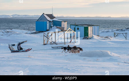 Un chasseur inuit sur son traîneau à Oqaasut la colonisation, l'ouest du Groenland Banque D'Images