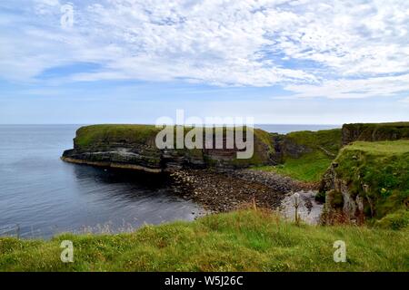 La Brough de Deerness Blanc de pintade Nevi. Banque D'Images