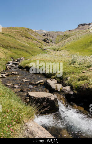 Sierra Nevada, Arroyo San Juan, de jets d'eau en été. à 2500m altutude, Grenade, Andalousie, espagne. Banque D'Images