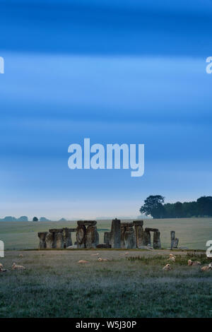 Menhirs de Stonehenge préhistoriques sur les champs agricoles avec des moutons sur les plaines de Salisbury, Wiltshire, Angleterre à la première lumière Banque D'Images