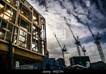 Fenêtre recyclés à la serre jardin Tapper à pied skip to Kings Cross, London N1C 4AD Angleterre Banque D'Images