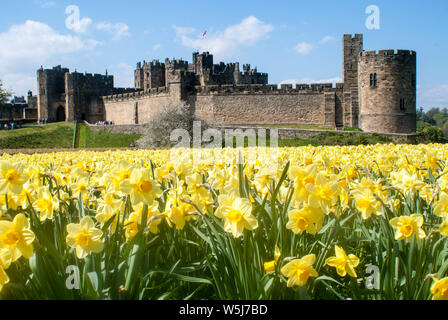 Château d’Alnwick Banque D'Images