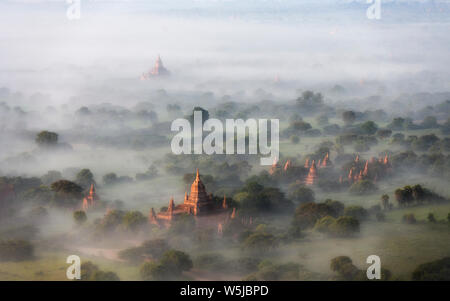 Morning Mist sur les temples de Bagan, Myanmar Banque D'Images