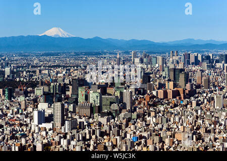 Mt. Toits de Tokyo Fuji Japon Cityscape Banque D'Images