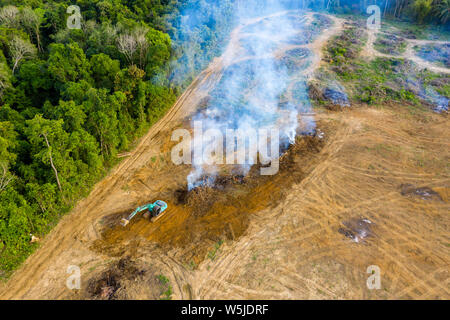 De haut en bas Vue aérienne de la déforestation - jungle être démontés et brûlés pour faire place aux plantations en Thaïlande Banque D'Images