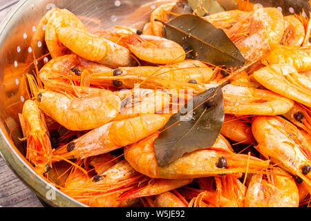 Les crevettes de l'Atlantique cuit autour de l'écoulement dans une passoire en acier inoxydable. Banque D'Images