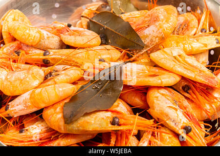 Les crevettes de l'Atlantique cuit autour de l'écoulement dans une passoire en acier inoxydable. Banque D'Images