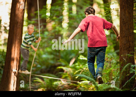 Deux garçons en équilibre sur corde en forêt. Banque D'Images