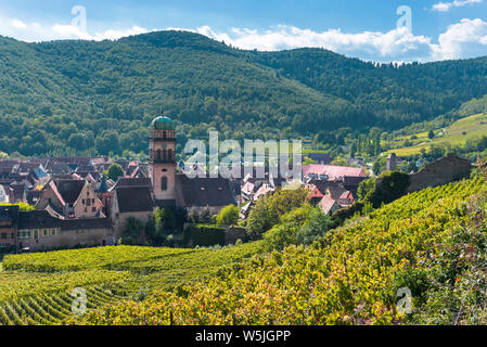 Ville Kaysersberg, Alsace, France, entouré de vignes et les Vosges Banque D'Images