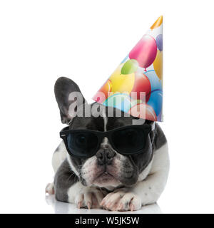 Bouledogue français avec d'anniversaire chapeau et lunettes noires en appui sur ses pattes Banque D'Images